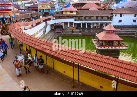 Udupi, Karnataka, Indien : Menschen gehen eine heilige Kuh bei Sonnenuntergang um den Madhva Sarovara Wasserbehälter neben dem 13. Jahrhundert Krishna Tempel gegründet b Stockfoto