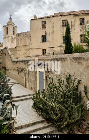 Schöne Aufnahme der Häuser in Calvi mit der Kathedrale Saint Jean-Baptiste im Hintergrund Stockfoto