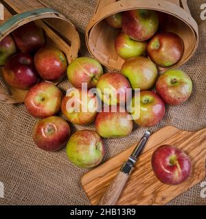 Frisch geerntete Macoun-Äpfel in Körben mit Apfelschäler und Schneidebrett auf Sackleinen Stockfoto