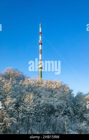 Kahlenberg Radio Sender Antenna in Wien, Österreich. Schneebedeckte Bäume auf dem Wienerwald. Stockfoto