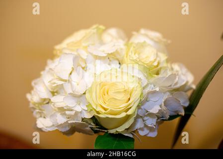 Erstaunliche gelbe Rosen Blumenstrauß Stockfoto