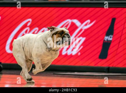 WASHINGTON, DC - 15. DEZEMBER: Jack, Maskottchen von Georgetown Hoyas, läuft während eines College-Basketballspiels an einem Werbeschild „Jack and Coke, no Ice“ vorbei Stockfoto