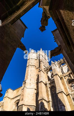 Wasserspeier an der Fassade der Cathédrale Saint-Just et Saint-Pasteur in Narbonne, Frankreich. Die Kathedrale mit Querschiff und 40m-hohem Chor und Wandteppichen wurde 1272-1340 gebaut, aber nie fertiggestellt Stockfoto