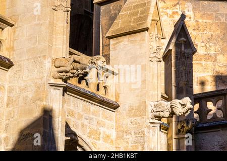 Wasserspeier an der Fassade der Cathédrale Saint-Just et Saint-Pasteur in Narbonne, Frankreich. Die Kathedrale mit Querschiff und 40m-hohem Chor und Wandteppichen wurde 1272-1340 gebaut, aber nie fertiggestellt Stockfoto