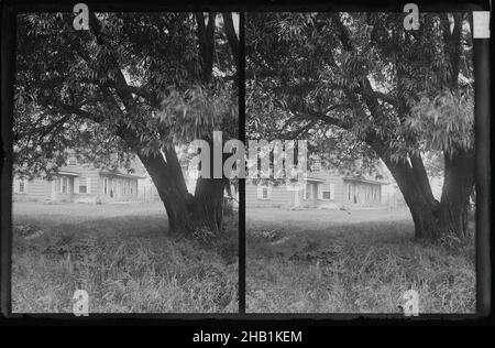 Bergen House, Vista, Bergen Beach, Flatlands, Brooklyn, Daniel Berry Austin, Amerikaner, geboren 1863, aktiv 1899-1909, Gelatin Silber Glas Trockenplatte negativ, ca. 1899-1909 Stockfoto