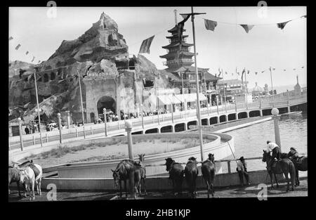 Ansicht von Coney Island, Eugene Wemlinger, Cellulosenitrat negativ, 1909, Atlantik, Brooklyn, Küste, Küstengemeinde, Coney Island, Anfang des 20th. Jahrhunderts, Ostküste, Eastern Seaboard, historisches Brooklyn, Horses, New York State, Old Brooklyn, vintage Stockfoto