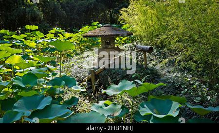 Steinlaterne auf japanischem Garten, Rio de Janeiro, Brasilien Stockfoto