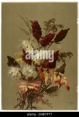 Sumac and Milk-Weed, Ellen Thayer Fisher, American, 1847-1911, Lithograph, 1885, 20 9/16 x 14 1/2 Zoll, 52,2 x 36,8 cm, botanisch, Strauß, Kräuter, Naturstudie, Pflanzen, Künstlerin Stockfoto