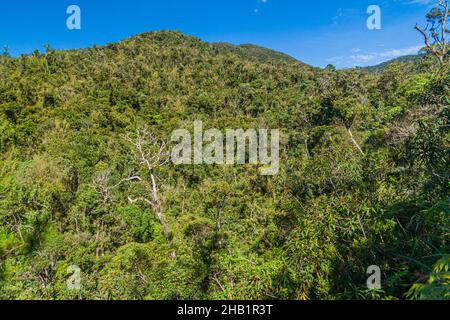 Bewaldete Berge in der Nähe von Banaue, Philippinen Stockfoto