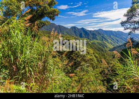 Bewaldete Berge in der Nähe von Banaue, Philippinen Stockfoto