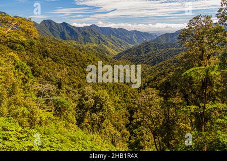 Bewaldete Berge in der Nähe von Banaue, Philippinen Stockfoto