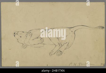 Sleeping Lioness, Philip H. Wolfrom, Amerikaner, 1870-1904, Graphite auf Papier, n.d., Blatt: 5 5/8 x 9 1/16 Zoll, 14,3 x 23 cm Stockfoto