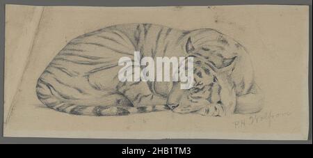 Sleeping Tiger, Philip H. Wolfrom, Amerikaner, 1870-1904, Graphit auf Papier, n.d., Blatt: 3 9/16 x 8 Zoll, 9 x 20,3 cm Stockfoto