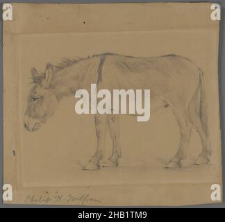 Donkey, Philip H. Wolfrom, Amerikaner, 1870-1904, Graphit auf Papier, n.d., Blatt: 9 3/16 x 9 3/4 Zoll, 23,3 x 24,8 cm Stockfoto