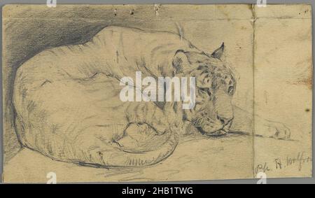 Sleeping Tiger, Philip H. Wolfrom, Amerikaner, 1870-1904, Graphit auf Papier, n.d., Blatt: 3 7/8 x 6 3/4 Zoll, 9,8 x 17,1 cm Stockfoto