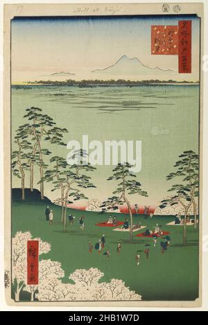 Blick nach Norden von Asukayama, Nr. 17 in hundert berühmten Ansichten von Edo, Utagawa Hiroshige, Ando, japanisch, 1797-1858, Holzschnitt, Japan, 5th Monate 1856, Edo-Zeit, Ansei-Ära, Bild: 13 3/8 x 8 3/4 Zoll, 34 x 22,2 cm, 19th Jahrhundert, 19.Jahrhundert, Kirschblüte, Edo, hiroshige, Berge, Mt. Fuji, Mt. Tsukuba, Park, Menschen, drucken, Meer, Frühling, Tokio, Bäume, Holzschnitt, Holzschnitt Stockfoto