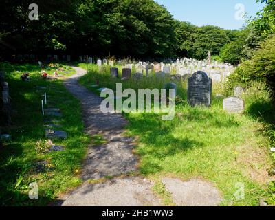 Friedhof, der zum Wohle der Tierwelt überwachsen wird, St Michael and All Angels, Church, Bude, Cornwall, UK, Stockfoto