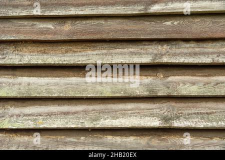 Eine Wand aus alten horizontalen Brettern, alter Farbe und Ästen Stockfoto