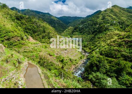 Reisterrassen in der Nähe des Dorfes Cambulo, Insel Luzon, Philippinen Stockfoto