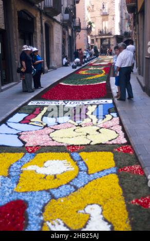 Pfadmatte von Blumen in der Straße zu feiern Corpus Christ, Girona, Katalonien, Spanien Stockfoto