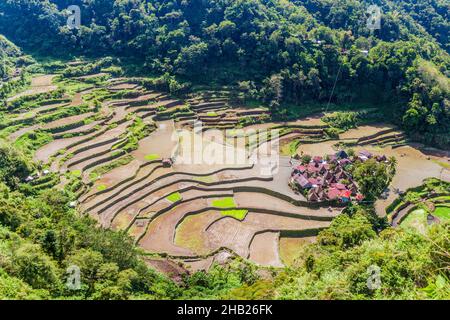 Kleines Vilage mit Reisterrassen in der Nähe von Banaue, Provinz Ifugao, Philippinen Stockfoto