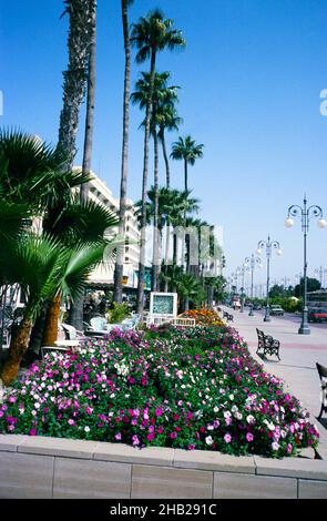 Blumenbeete entlang der Küste bei Larnaca, Zypern im Jahr 1998 Stockfoto