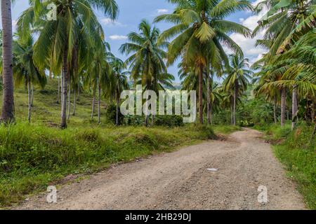 Landstraße auf der Insel Bohol, Philippinen Stockfoto