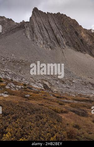Mount Arethusa, Ptarmigan Cirque Trail im Herbst, Kananaskis, Peter Lougheed Provincial Park, Alberta, Kanada Stockfoto