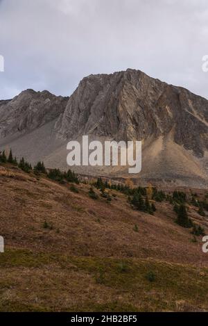Mount Arethusa, Ptarmigan Cirque Trail im Herbst, Kananaskis, Peter Lougheed Provincial Park, Alberta, Kanada Stockfoto
