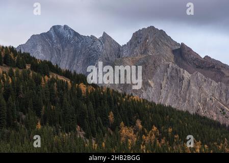 Storm Mountain vom Ptarmigan Cirque Trail im Herbst, Kananaskis, Peter Lougheed Provincial Park, Alberta, Kanada Stockfoto