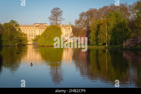 Blick über den St James's Lake von der Park Bridge mit dem Buckingham Palace, der von der frühen Morgensonne im April 2021 schön beleuchtet wird. London, England, Großbritannien Stockfoto