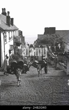 1950s, historisch, zwei arbeitende Esel, die Holzfässer und Kisten mit abgefülltem Bier die steile gepflasterte Straße vom Hafen unten in Clovelly, Devon, England, Großbritannien, hinauftragen. Das Dorf ist berühmt für seine Fußgängerzone, die abfallende gepflasterte Hauptstraße, die traditionellen Hütten und die Architektur und die Esel. Es liegt 400 Meter über dem Hafen von Bideford Bay. Ungewöhnlich ist, dass das Dorf in Privatbesitz ist, da es seit 1738 in der Familie Hamyln lebt. Stockfoto