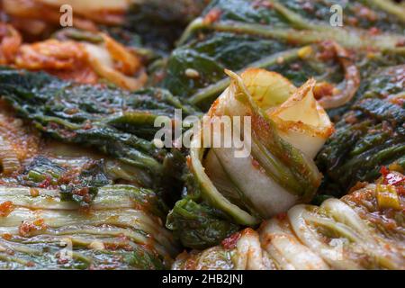 Ein Nahaufnahme Stillleben Foto von frisch gemachten Kimchi. Ein Hauptgericht in Korea. Stockfoto