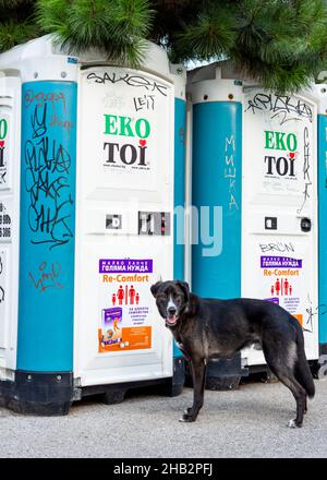 Ein Hund an der Leine wartet vor einer tragbaren Toilette in Sofia Bulgarien, Osteuropa, Balkan, EU auf seinen Besitzer Stockfoto