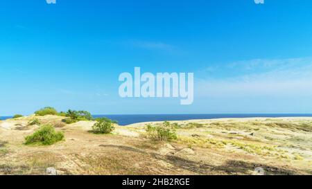 Sanddüne EFA an der Kurischen Nehrung, Ostsee, Kaliningrad, Russland. Seltene Büsche auf einer Sanddüne an einem sonnigen Tag im Sommer. Stockfoto