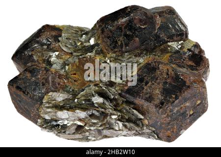 almandine Granate in Glimmerschiefer aus Keyvy, Russland, isoliert auf weißem Hintergrund Stockfoto