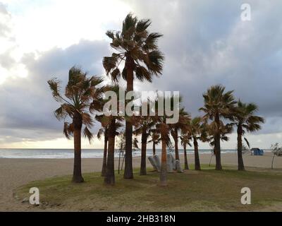 Parque de La vida (Lebenspark) mit einer offenen Skulptur am Strand von Los Boliches, Fuengirola, Provinz Málaga, Andalusien, Spanien. Stockfoto