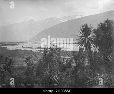 Valley of the Rees, Head of Lake Wakatipu, Burton Brothers Studio, Fotostudio, 1883, Neuseeland, Schwarzweiß-Fotografie Stockfoto