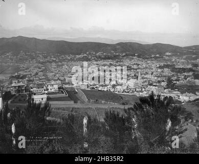 TE Aro, Wellington, Burton Brothers Studio, Fotostudio, Dunedin, Gelatine-Trockenteller-Prozess Stockfoto