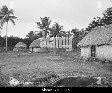 Neiafu, Vavau, Tonga, Burton Brothers Studio, Fotostudio, Juli 1884, Neuseeland, Schwarz-Weiß-Fotografie, Clearing with Five Fale (drei in einer Linie, eines von Middle Fale verdeckt) läuft von rechts nach links. Im Vordergrund befindet sich eine Grube mit einem großen Baumstamm. In der nächsten Fale steht ein Schwein vor der Tür, Frau steht drinnen. Hohe Kokospalmen und tropische Vegetation dahinter Stockfoto