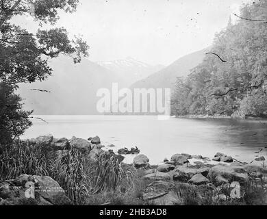 Mount Pender, Dusky Sound, Burton Brothers Studio, Fotostudio, 1879, Dunedin, Nass-Kollodion-Prozess, Blick auf den Dusky Sound, mit dem Rand des Wassers im Vordergrund. Bush-bedeckte Hügel auf der linken und rechten Seite des Bildes, im Hintergrund schneebedeckte Berggipfel sichtbar Stockfoto