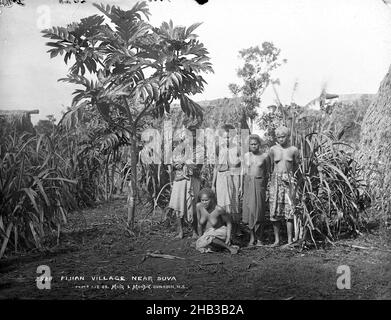 Fijian Village in der Nähe von Suva, Burton Brothers Studio, Fotostudio, 12 July 1884, Neuseeland, Schwarz-Weiß-Fotografie, eine Frau sitzt vor vier Frauen stehen, eine mit Baby in den Armen. Ein kleiner Brotfruchtbaum beschattiert die Frau mit Baby, dahinter ein Zuckerpflanzenhain und drei Bure Stockfoto