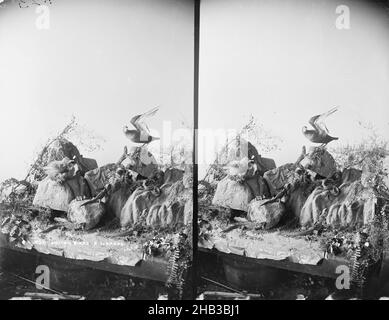 Hammelvögel und Eidechsen, Burton Brothers Studio, Fotostudio, um 1889, Dunedin, Schwarz-Weiß-Fotografie, Stereo-Ausstellung von ausgestopften Vögeln und Tuatara Stockfoto