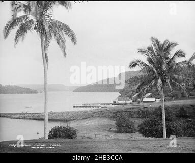 Neiafu, Vavau, Tonga, Burton Brothers Studio, Fotostudio, Juli 1884, Neuseeland, Schwarz-Weiß-Fotografie, Foreshore mit hohem Kokosnussbaum links, kleinere rechte, koloniale Gebäude am Wasserrand mit Steg. Im Hintergrund niedrig ansteigendes Land aus dem Meer Stockfoto