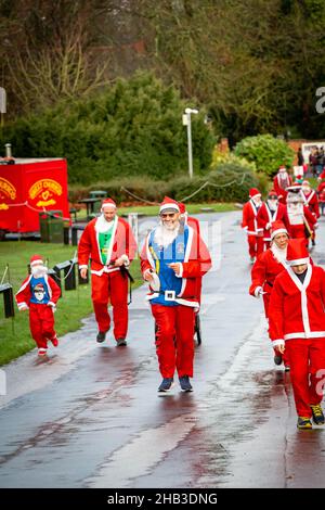 Viele Santas, die in einem Santa Dash einen Hügel hochlaufen Stockfoto