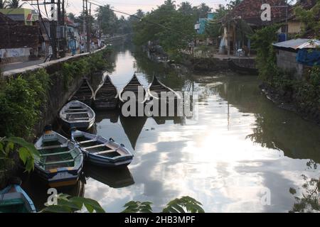 Schönes Feuchtgebiet in Kochi Kerala, Indien Stockfoto