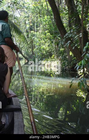 Wunderschöne Landschaft in tropischen Monsun-Feuchtgebieten in der Nähe von Kochi, Kerala, Indien Stockfoto