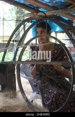 Weberin umgeht das Feuchtgebiet in Kochi Kerala, Indien Stockfoto