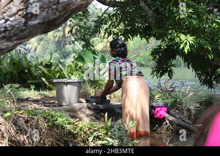 Schönes Feuchtgebiet in Kochi Kerala, Indien Stockfoto