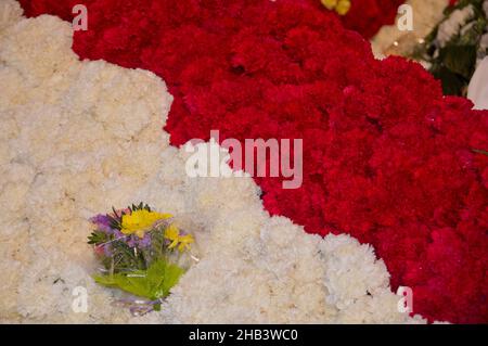 Bild eines Mantels, der aus tausenden weißen und roten Nelken besteht, auf denen sich ein Strauß gelber und purpurner Blumen befindet. Die Blütenblätter haben kleine rai Stockfoto